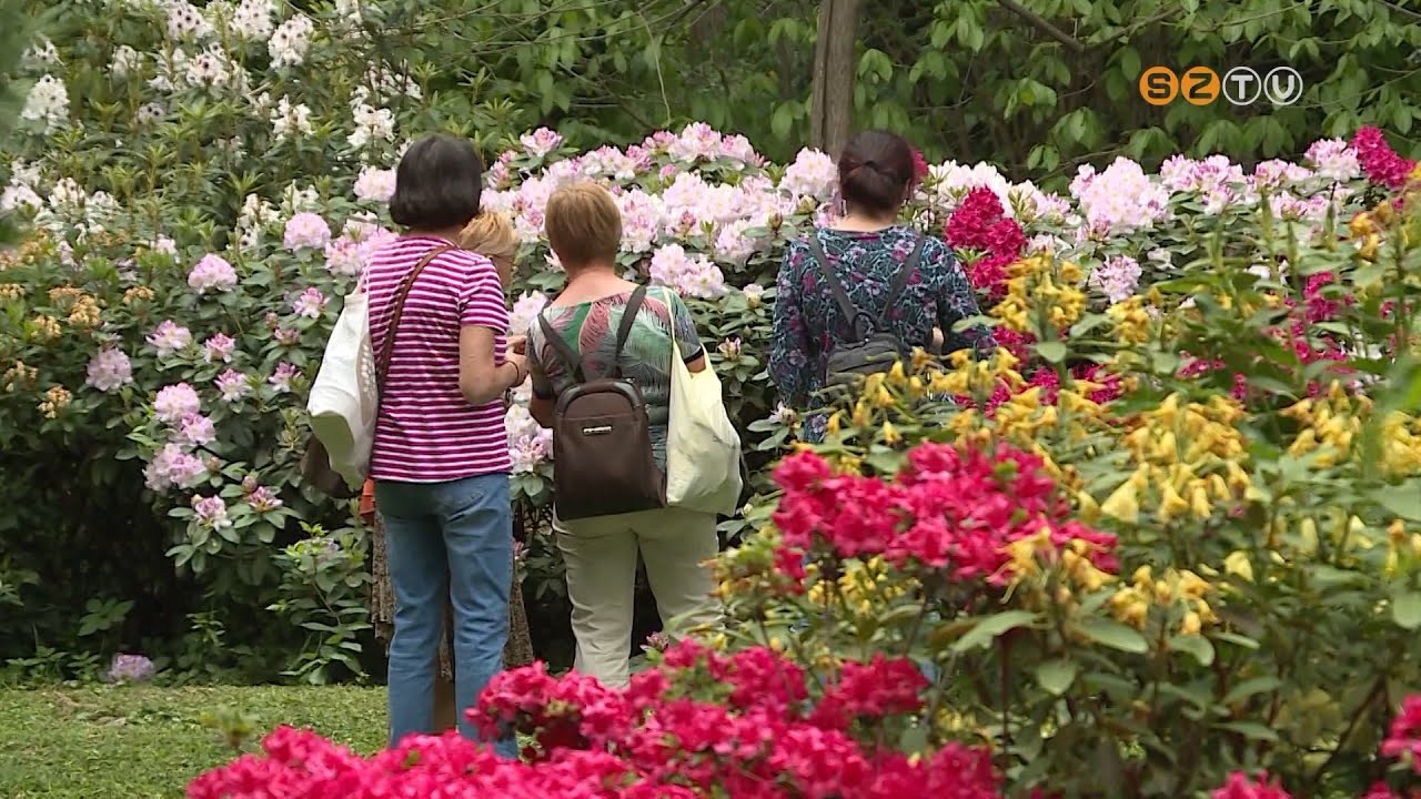 Ezer színben pompázik a Kámoni Arborétum ezekben a hetekben