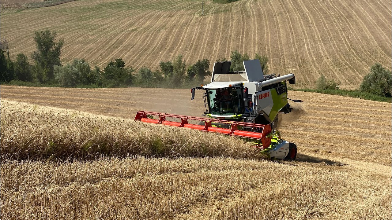 Claas Trion 540 Montana 4 - Fits your farm