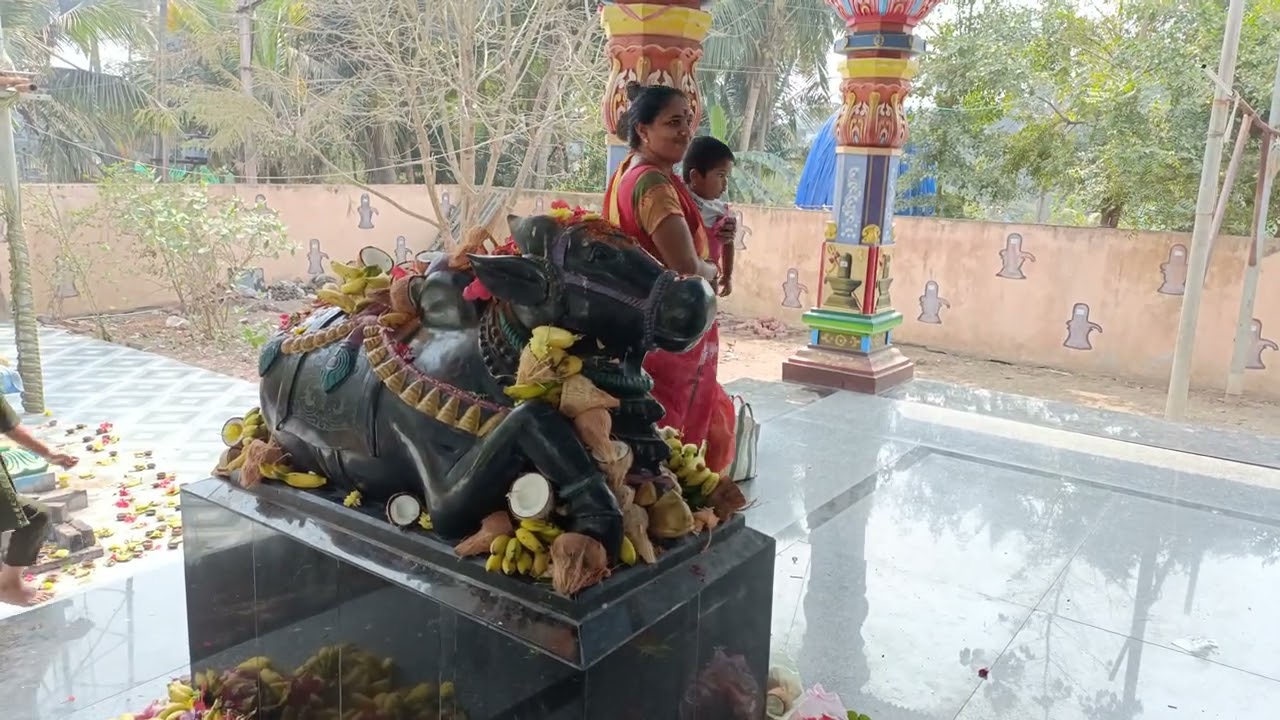 Mahashivratri Parvati malleswara Swamy Yenuguvanilanka 