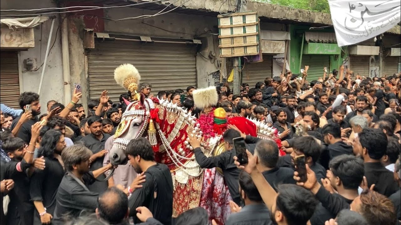10 Muharram 2025 | ImamBargah Qasar e Batool Iqbal Town Lahore | Baramdagi Zuljanah o Zanjeer Zani |