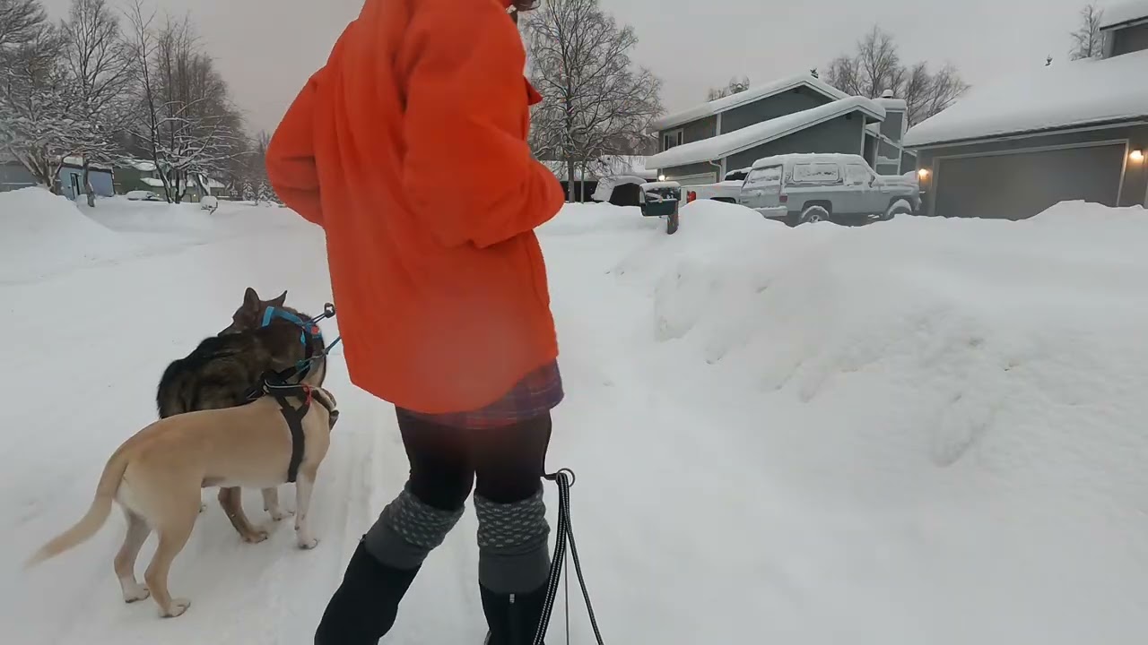 Sum Daze @MississippiDawn 