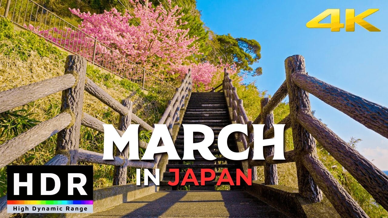 Japan in March 2026: Top Things to Do