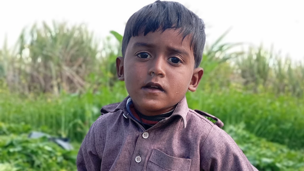 Pakistan 2003 is live