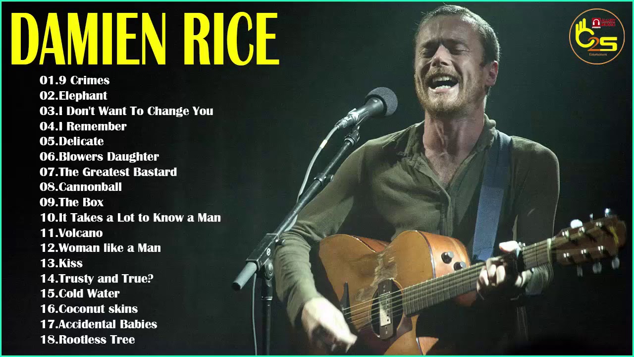Damien Rice Greatest Hits - Best Of Damien Rice