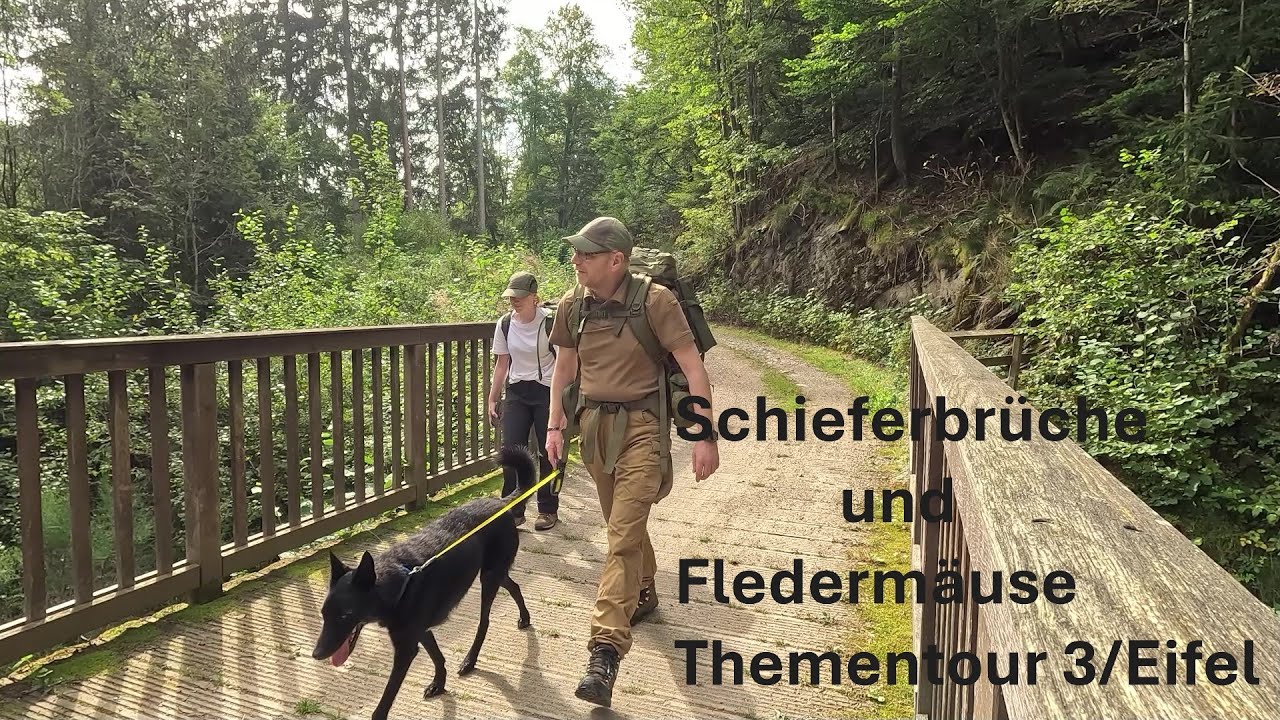 Schieferbrüche und Fledermäuse/ Thementour 3 Eifel