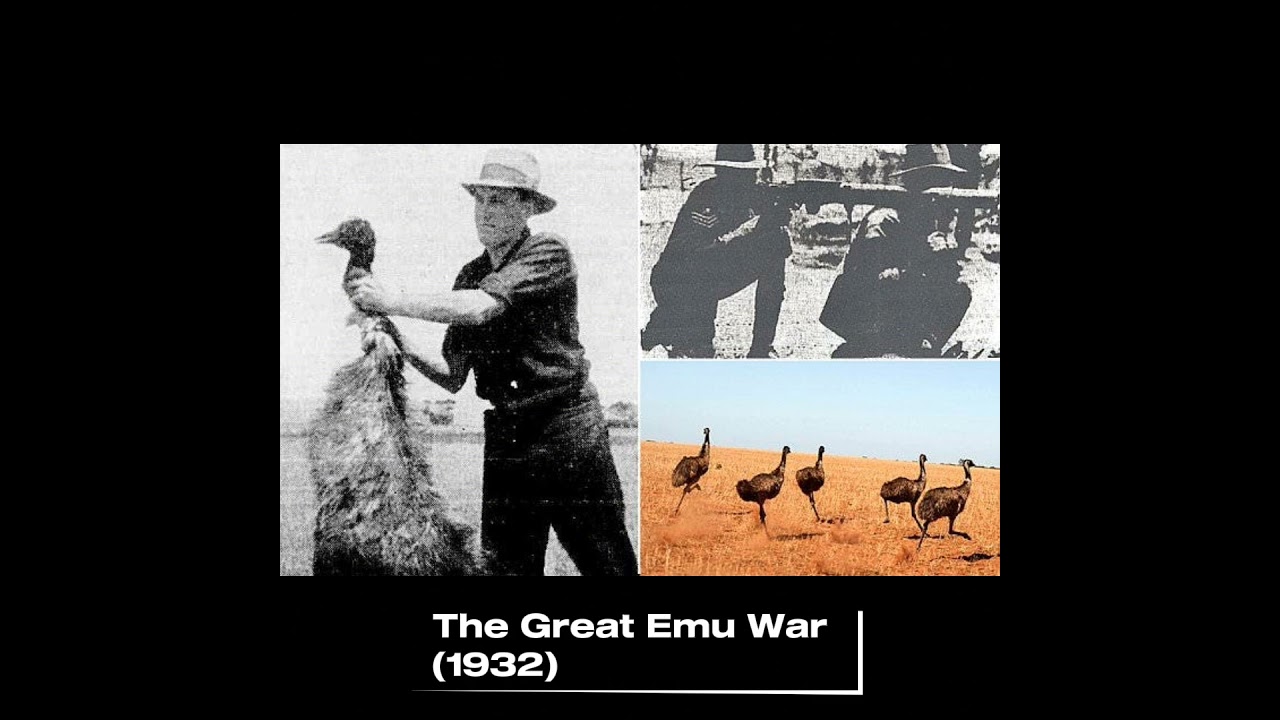 True events in history 😎 #youtube #facts #youtubeshorts #history #trueevents