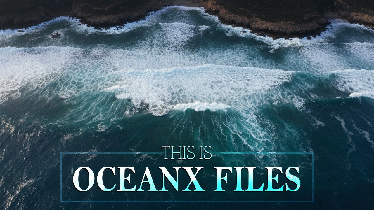 Let’s Dive Into The Sea And Explore A New World | OceanX Files Channel Trailer