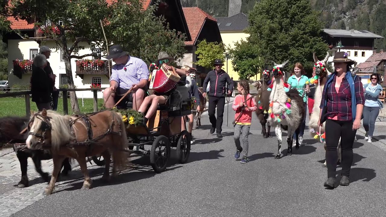 RKM LokalTV - Almabtrieb Mallnitz - 2021