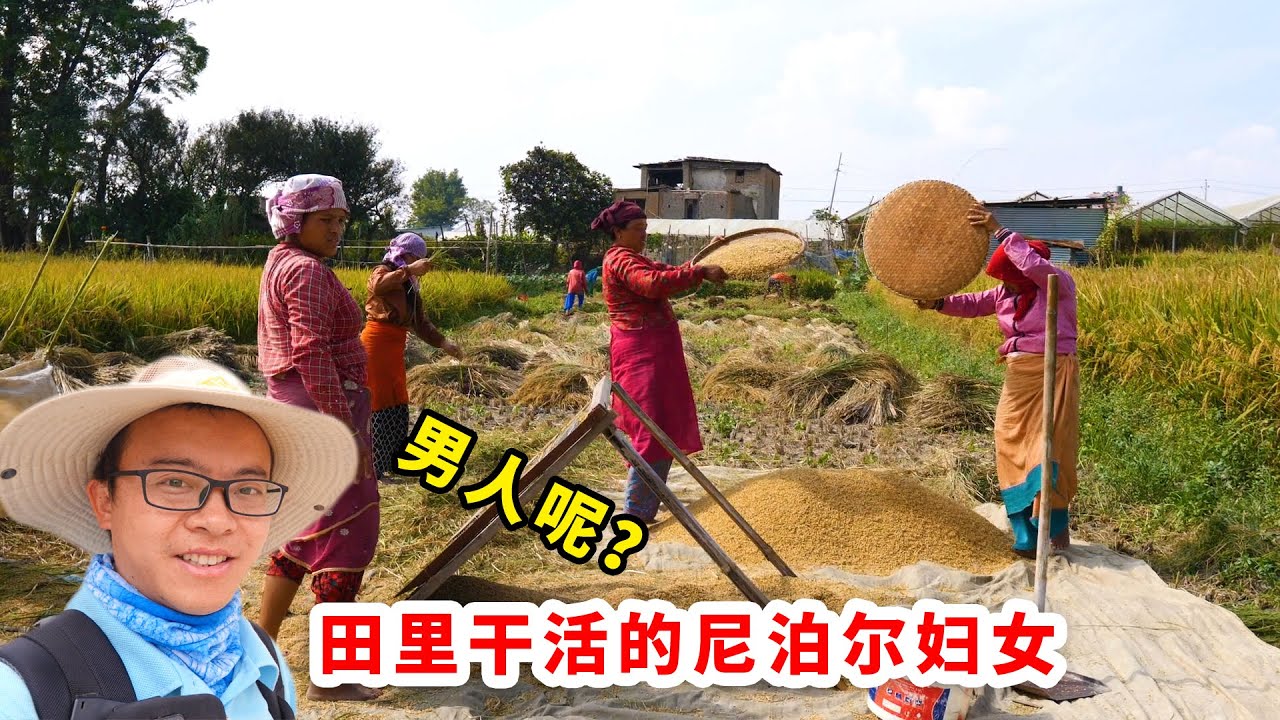 实地探访尼泊尔农村，农民一半收入归地主，但家家住楼房｜Nepalese farmer【尼泊尔第6集】
