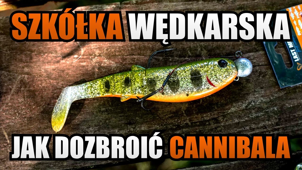 Jak Dozbroić Dużego Cannibala? Instruktaż Zbrojenia Przynęt
