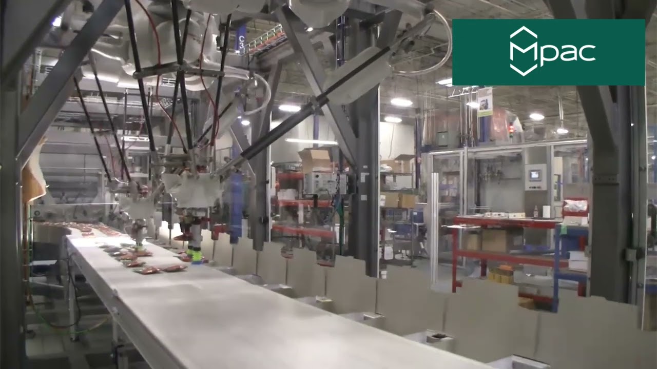 Langen LRC 400 Robotic Top Load Cartoner