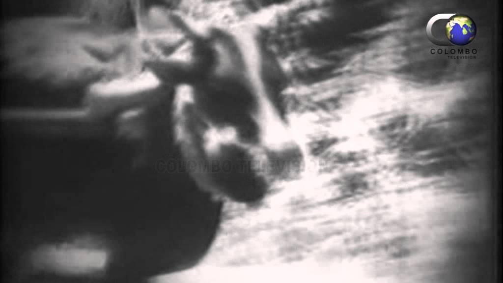 Sandeshaya Film   Kate Kiri Suwada