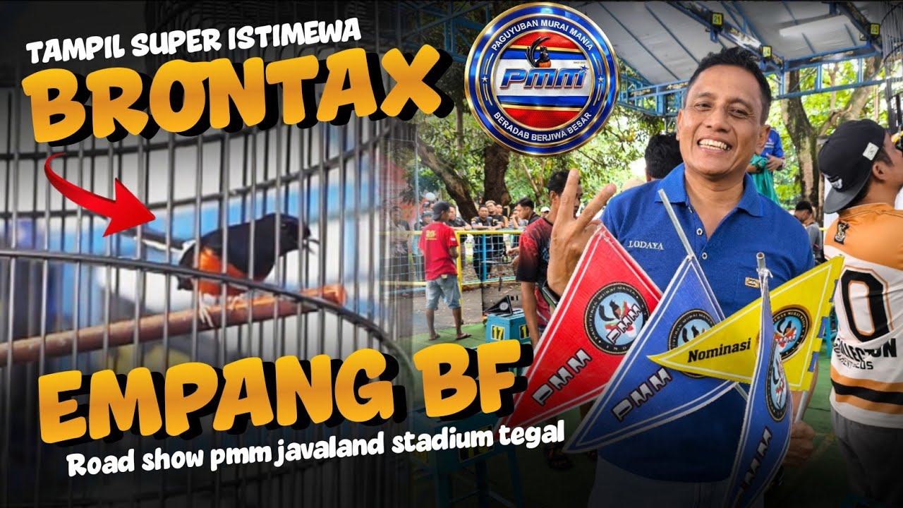 Aksi murai baru BRONTAX milik Mr.toni empang bf juara 2 tiket 1.1 juta road show pmm tegal
