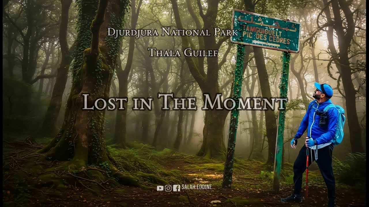 تائه في اللحظة | Lost in the Moment — رحلة مشي 12 كلم وسط الحظيرة الوطنية لجرجرة بثالاقيلف 🇩🇿