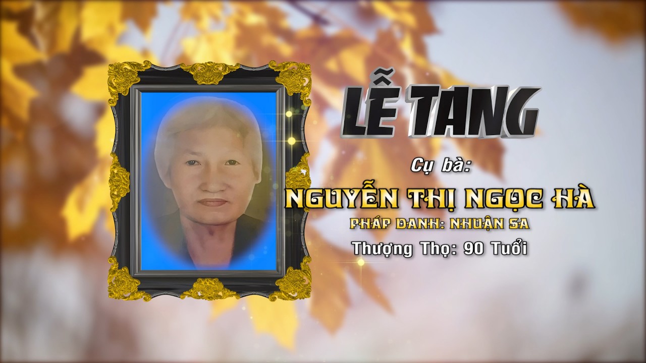 LETANG CUBA NGUYENTHINGOCHA