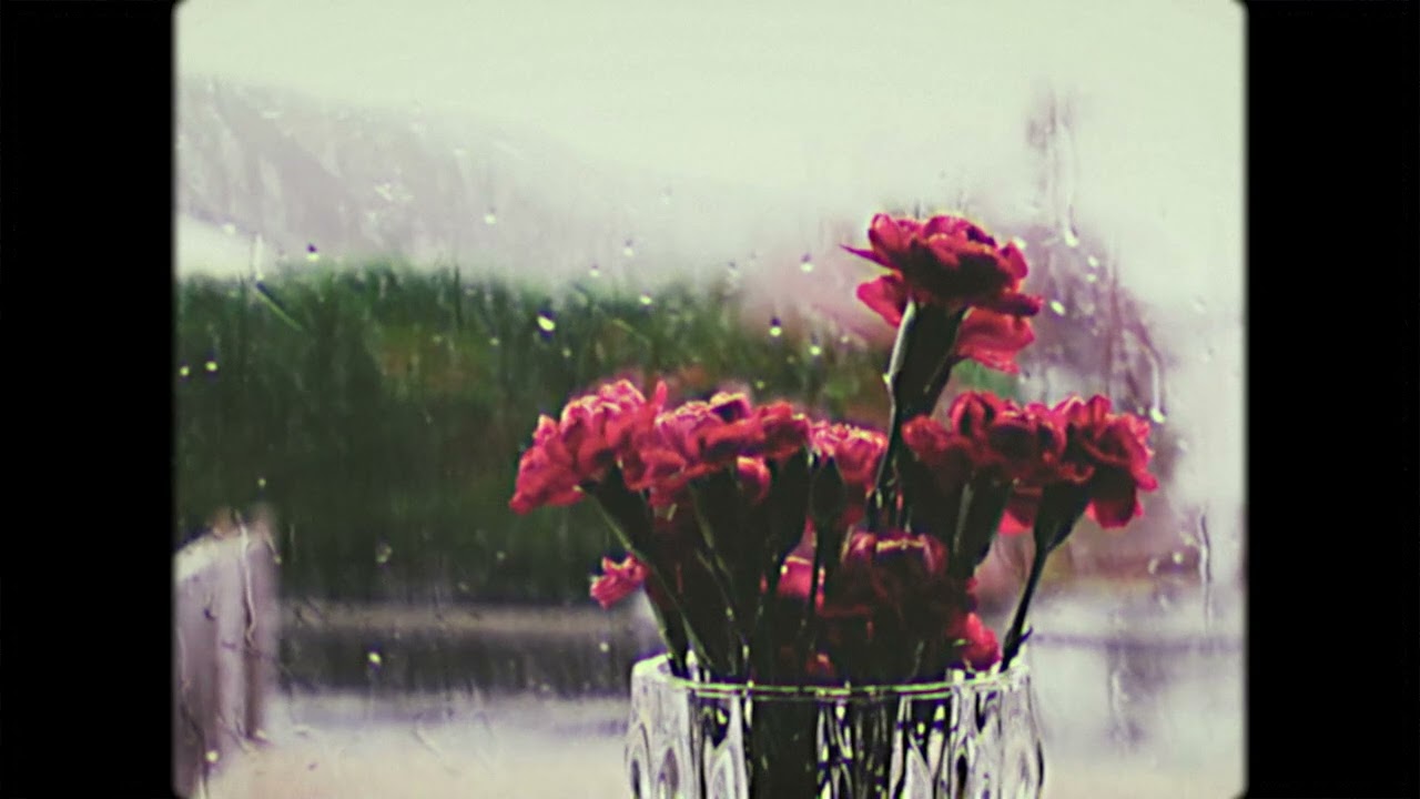 Rain Sounds With Wind And Thunder | Ambient Rain Sounds For Sleep, Study, Relaxation and Meditation