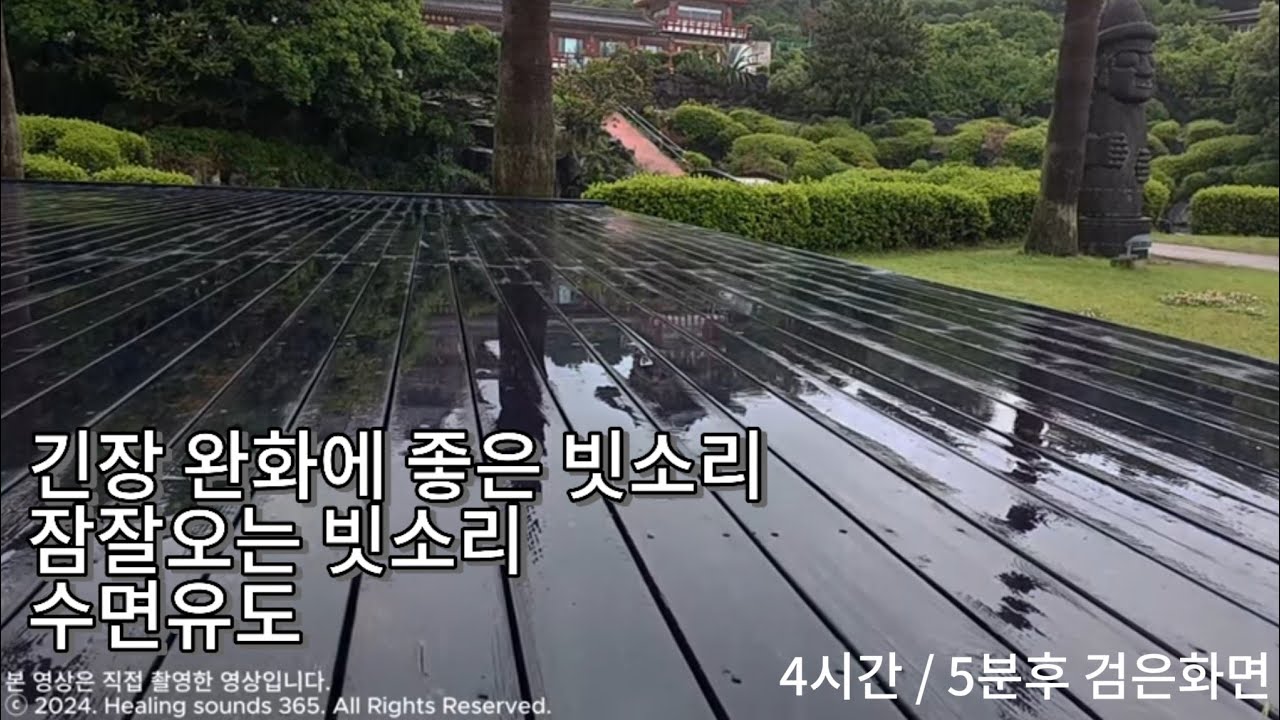 수면유도 빗소리 제주 서귀포시 중문 약천사 입구에서. 5분 후 검은화면. 잠잘오는 빗소리 불면증에 최고의 빗소리 Rain, Sleep, Study,  Relaxation