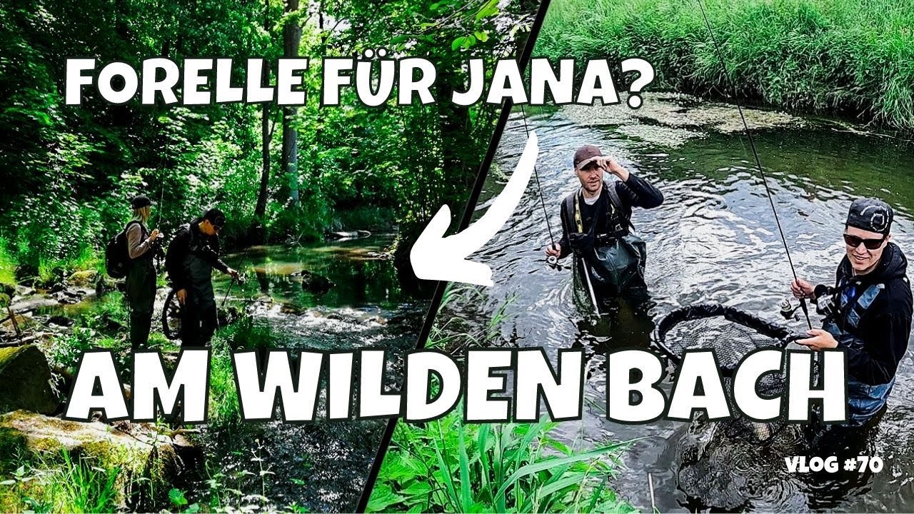 Plan Forelle geht in die finale Phase | Angeln am Naturbach | Spinnfischen mit Wathose | Vlog #70