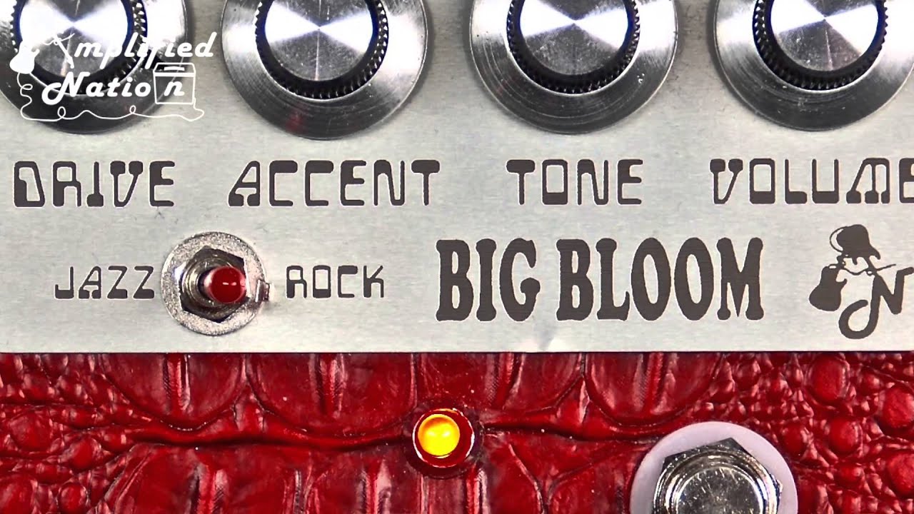 Amplified Nation Big Bloom Overdrive
