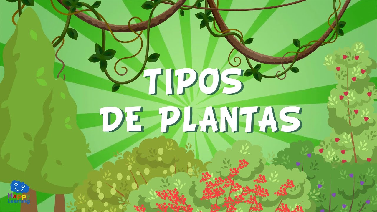 LOS TIPOS DE PLANTAS | V&iacute;deos Educativos para Ni&ntilde;os