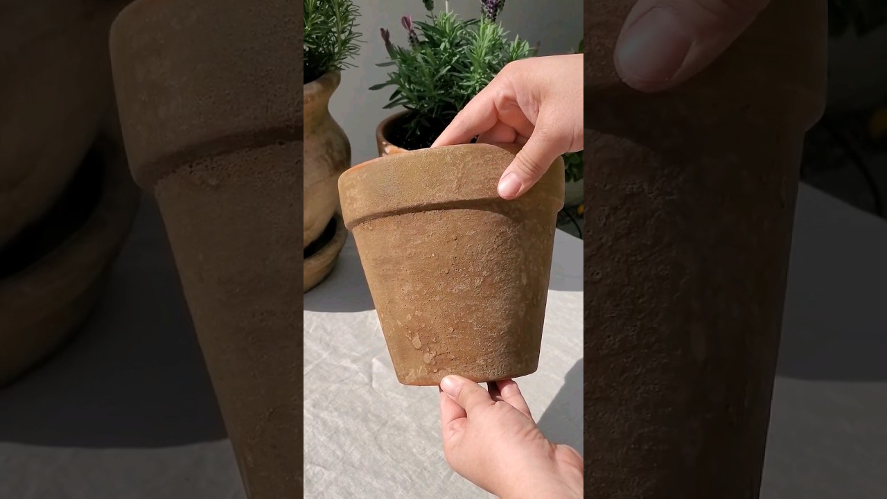 Aging Terracotta Pots with Garden Lime #diyprojects #gardeningtips #terracottapots #diy