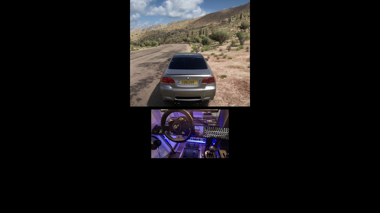 Forza Horizon 5 Live steering wheel