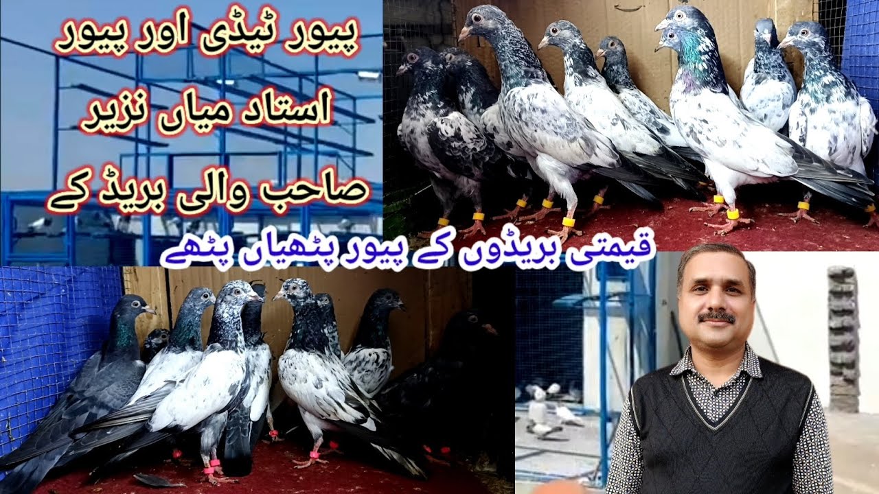 بہترین شوق رکھنے والے دوستوں کے پسندیدہ پٹھیاں پٹھے