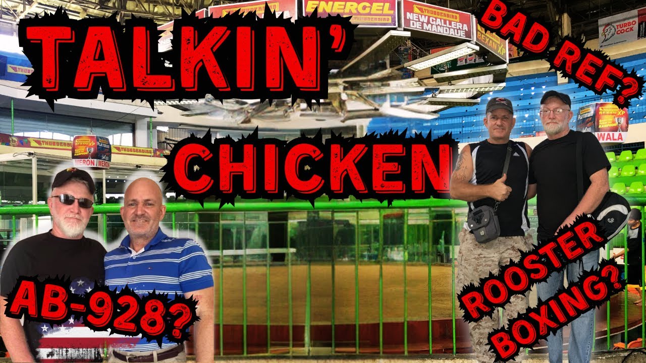 EPISODE 9 | TALKin' CHICKEN