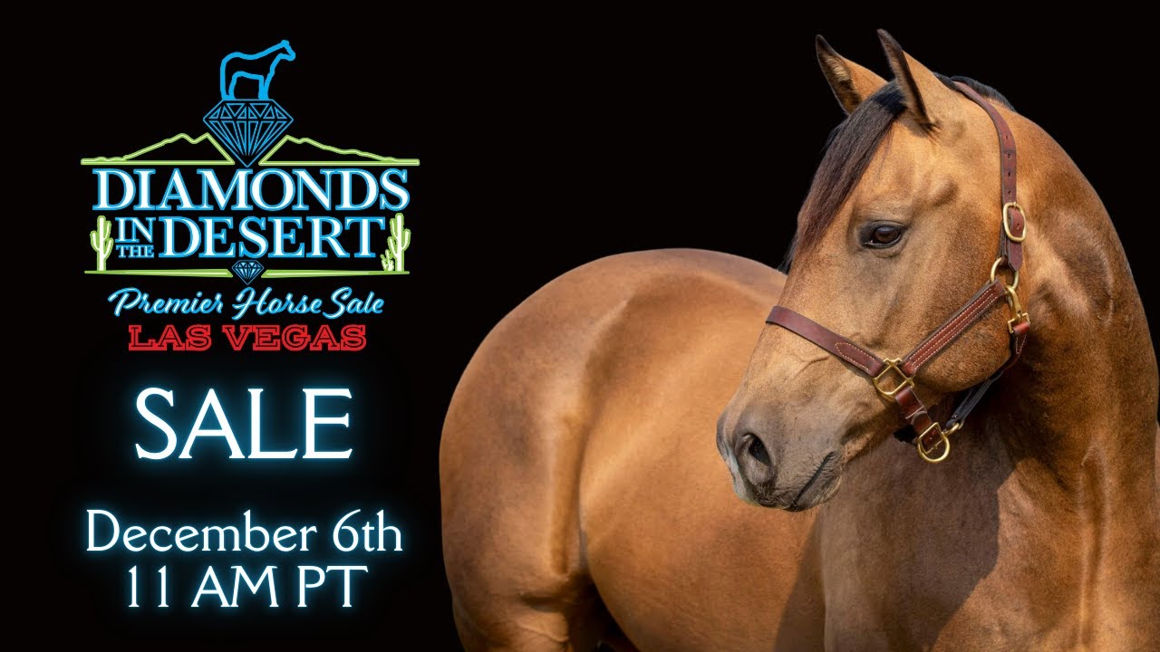 Sale LIVE @ the 2024 Diamonds in the Desert Las Vegas Premier Horse Sale