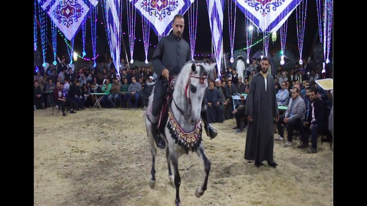 حفل لادب وجمال #الخيل بمدينة دماص #ميت_غمر #الدقهلية #مصر