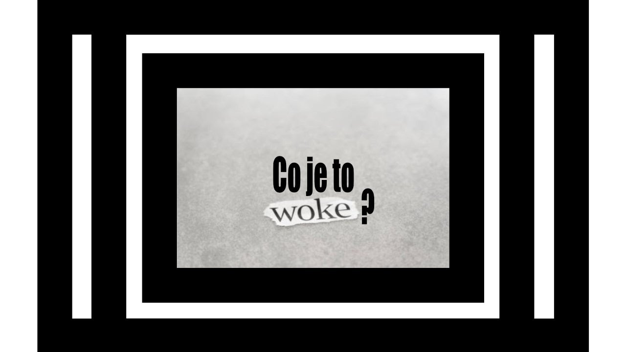 Co je to Wokismus ? - 07 Vize 2030