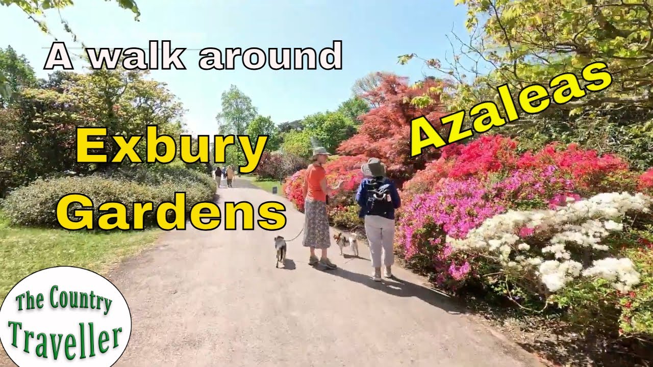 A Walk around Exbury Gardens to see the Azaleas #exbury