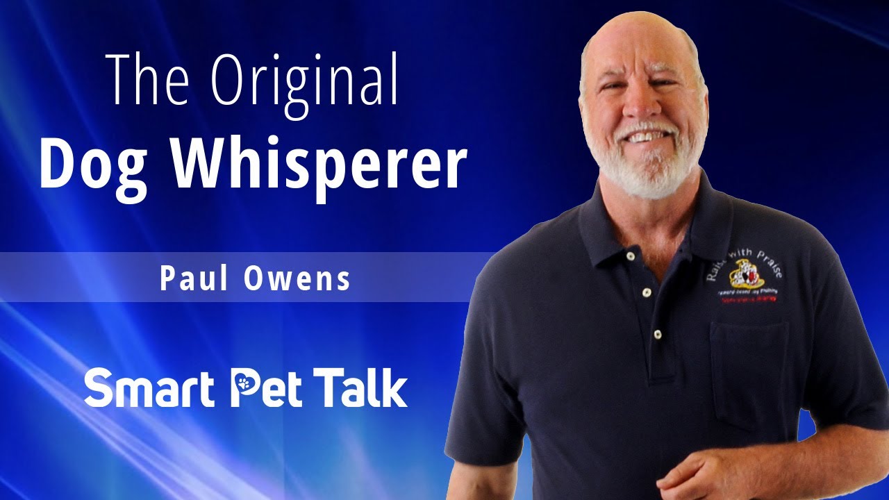 The Original Dog Whisperer | Smart Pet Talk with Guest Paul Owens