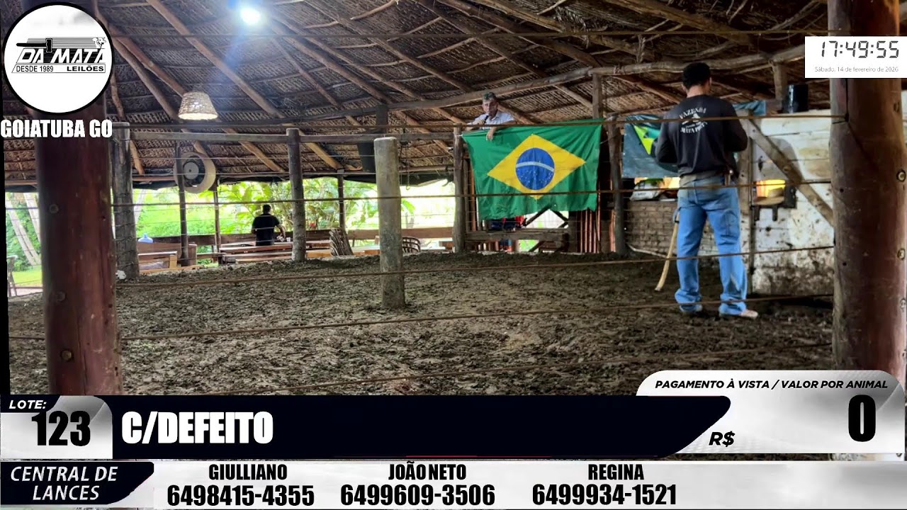 Leilão de gado em Goiatuba Goiás,  14/02/2026 - Mata Preta  Leilões - 14:00 Hs
