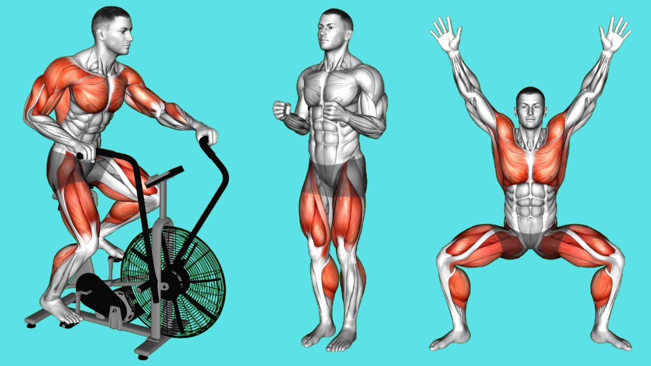 Advanced Conditioning Circuit for Athletes (Speed & Power)