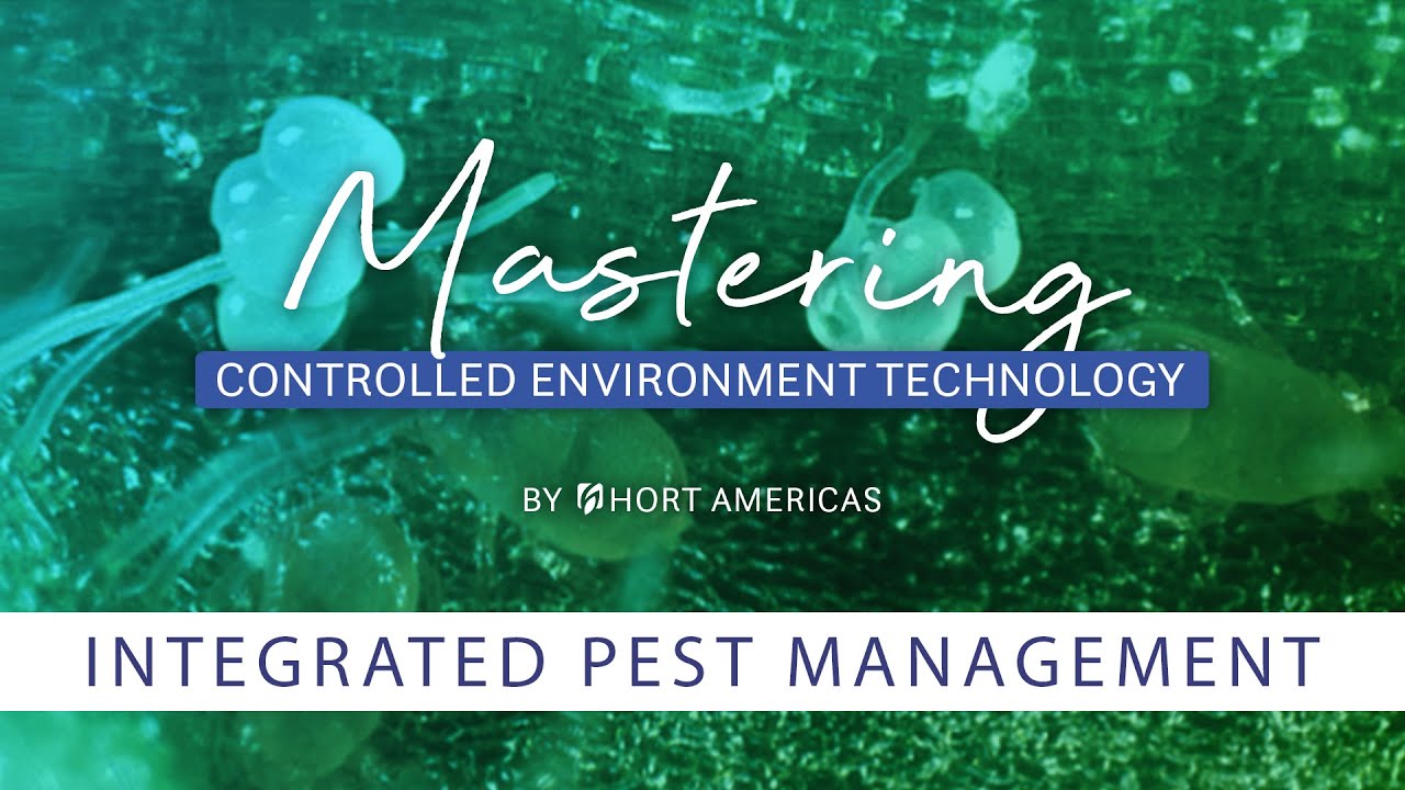 Mastering Integrated Pest Management