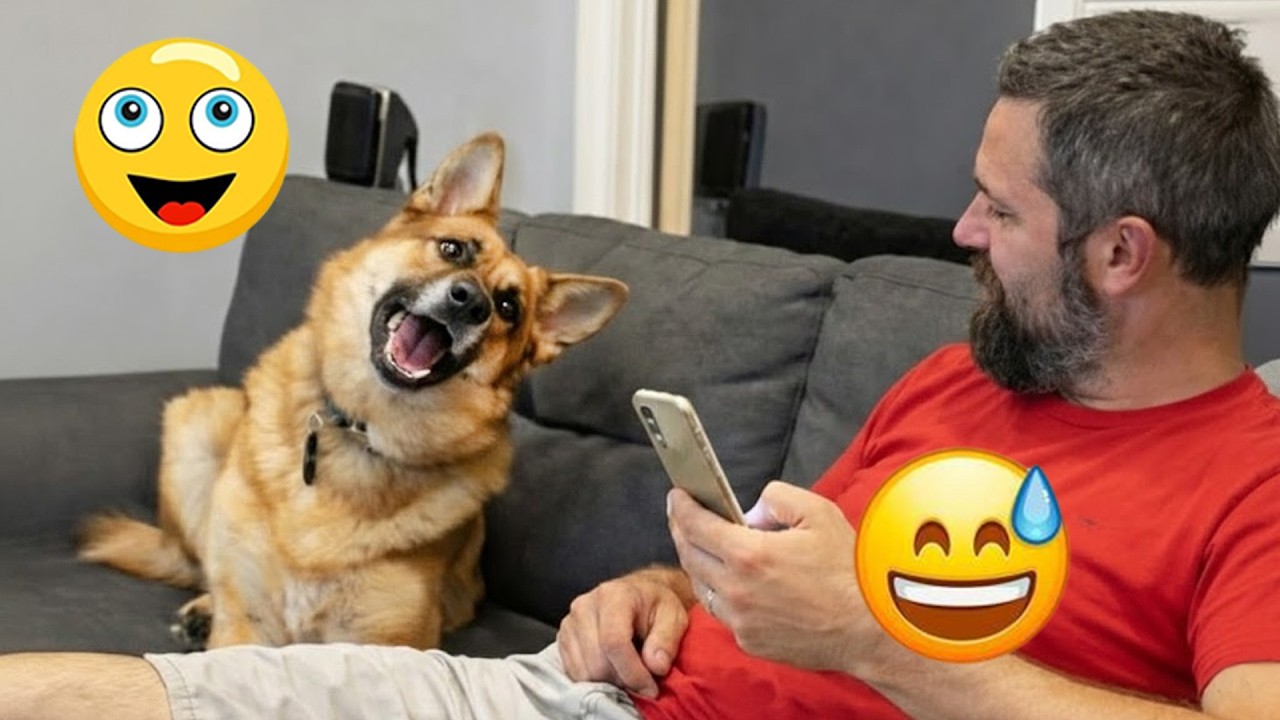 I'm 101% SURE that you will LAUGH EXTREMELY HARD- Funny Dog 2026 #383