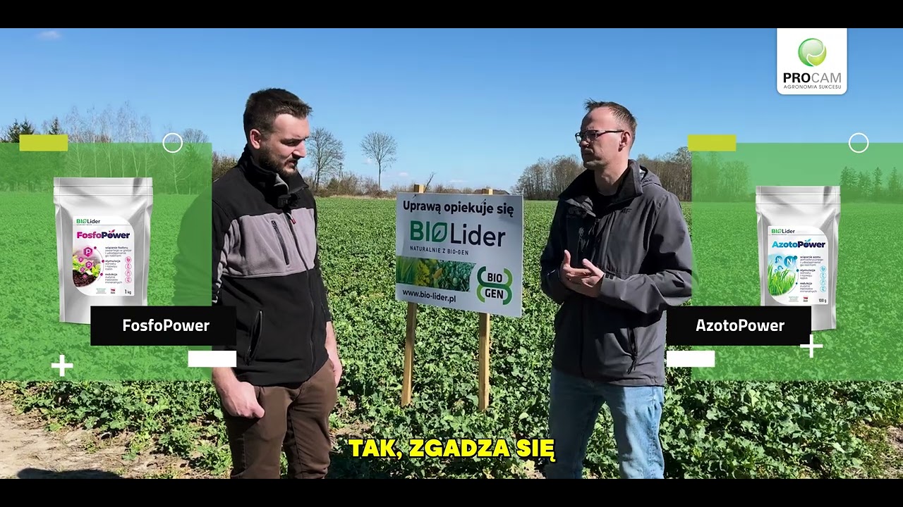 Rzepak w Gospodarstwie Szkolnym w Gołotczyznie #rzepak2025 #PROCAM