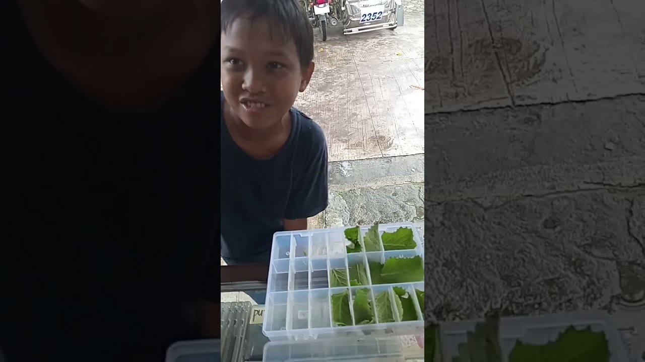 Mga gagamba ni Jacob
