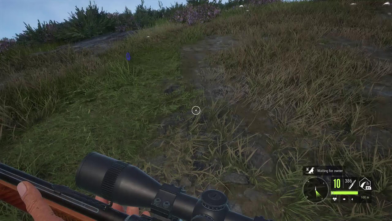 Hunting for my first great one