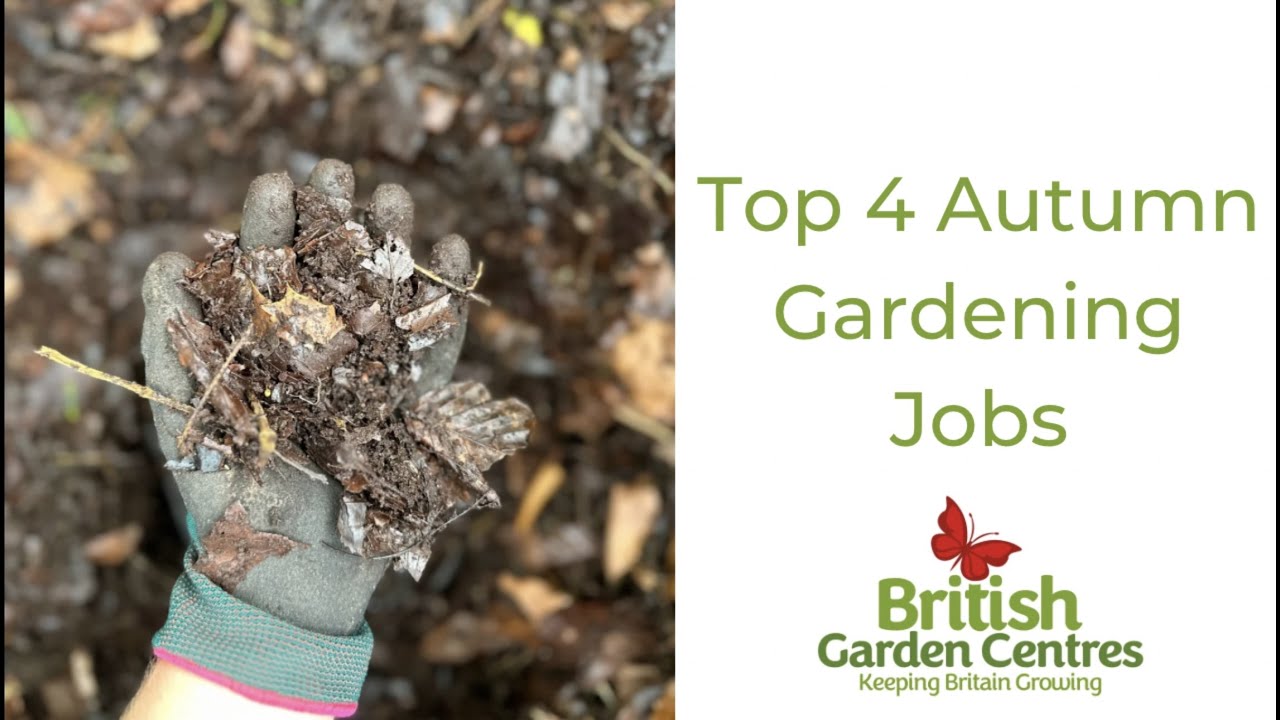 Our Top 4 Autumn Gardening Jobs