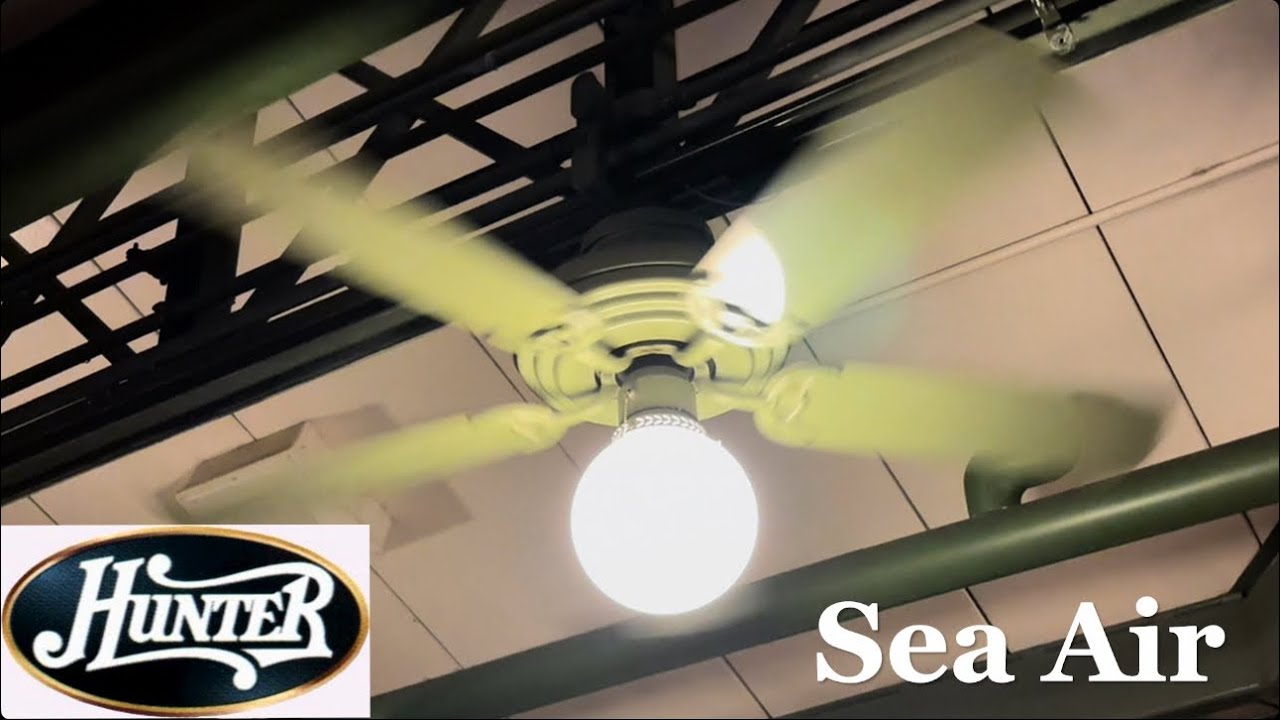 From the archives: 52” Hunter Sea Air ceiling fans 