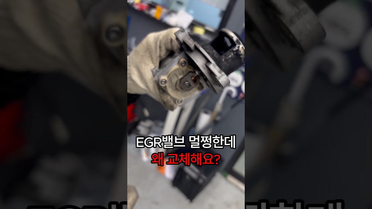 EGR밸브 멀쩡한데 왜 교체해요? #자동차 #디젤