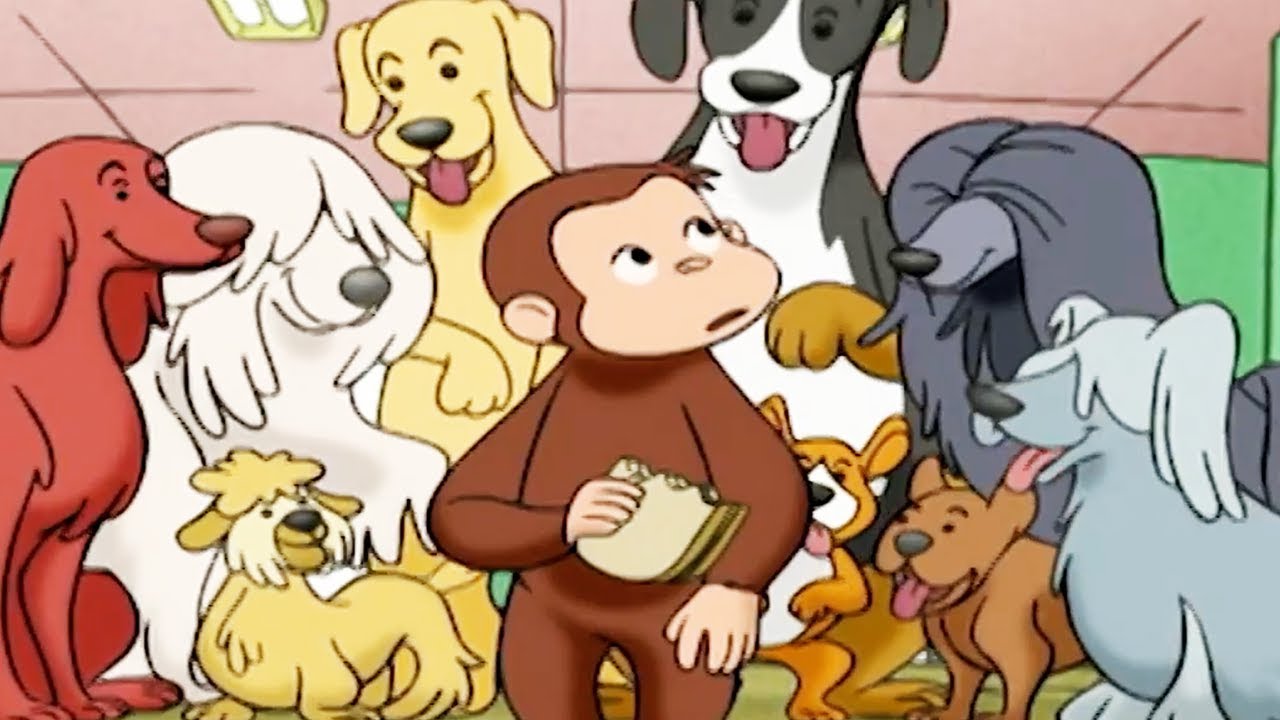 Peter Pedal 🐵Peter Pedal, Hundetæller 🐵Sæson 1 Fuld Episode 🐵Børn Film 🐵Film til Børn