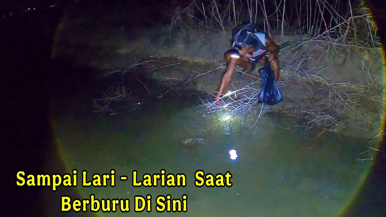 BERBURU DI MALAM HARI LAGI KITA