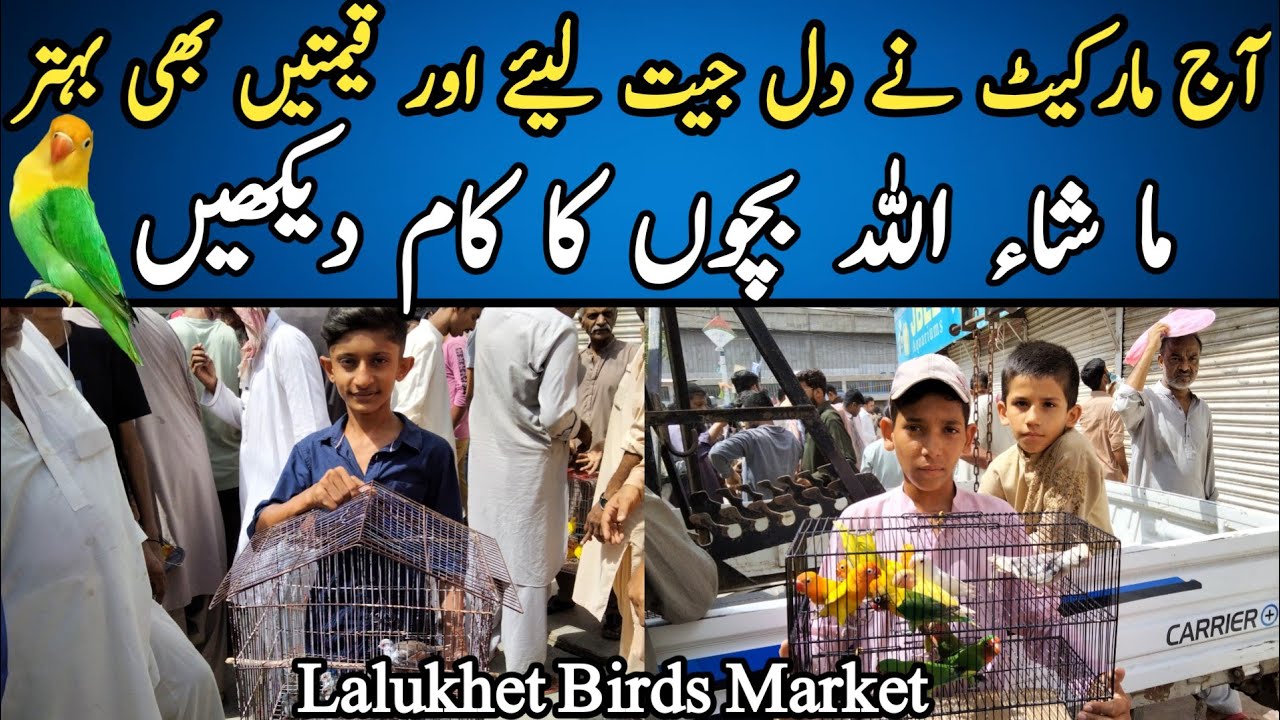Lalukhet Birds Market 2022 latest update |Karachi Sunday Birds Market video |#syedbirds