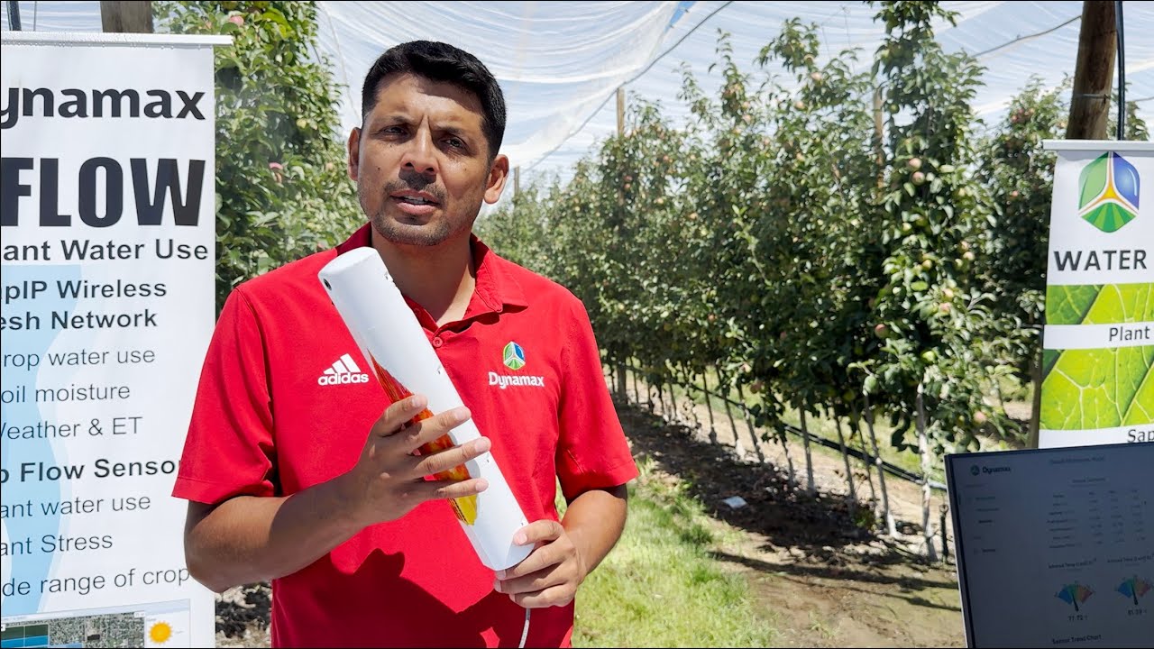 WSU smart orchard irrigation sensor demonstration
