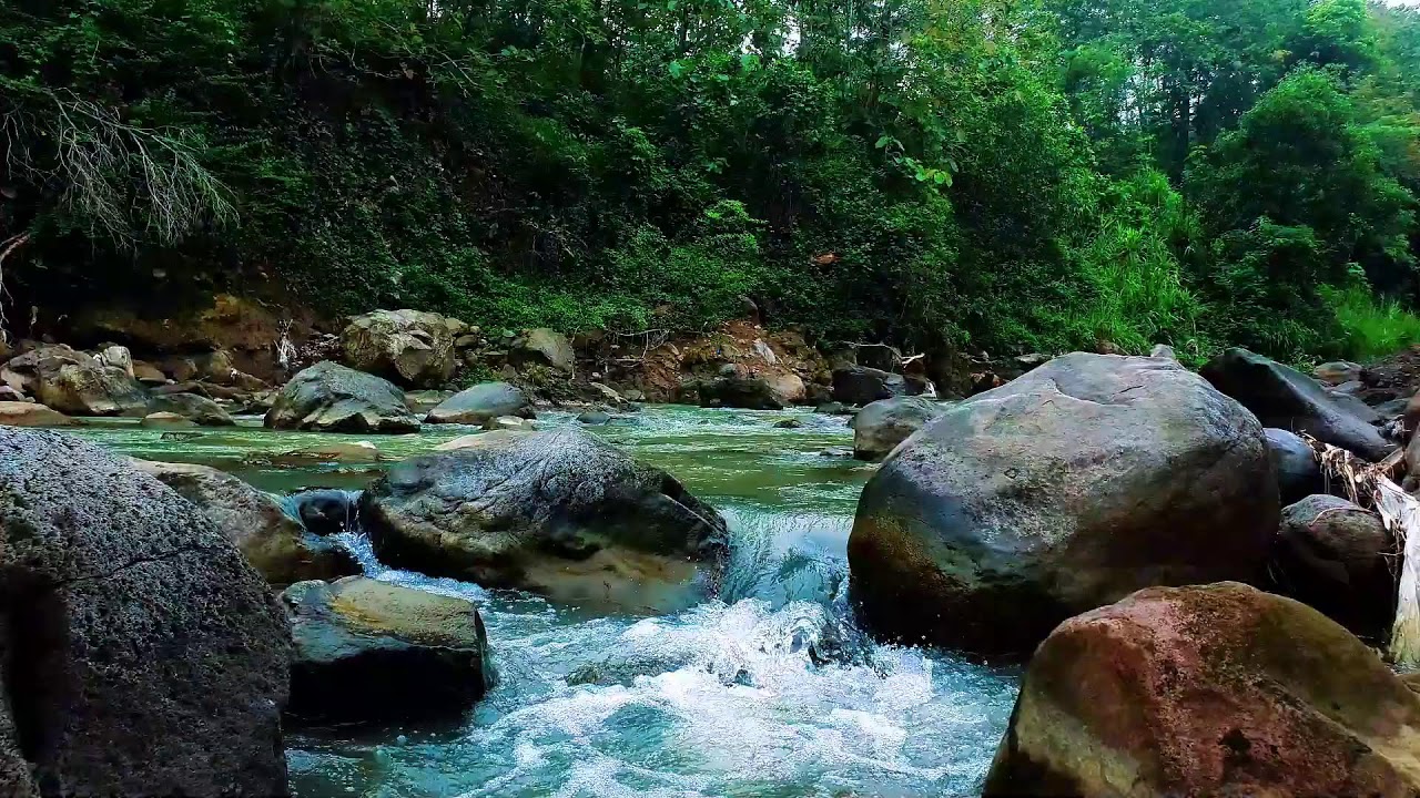 Best White Noise for Sleeping – Peaceful River Ambience All Night