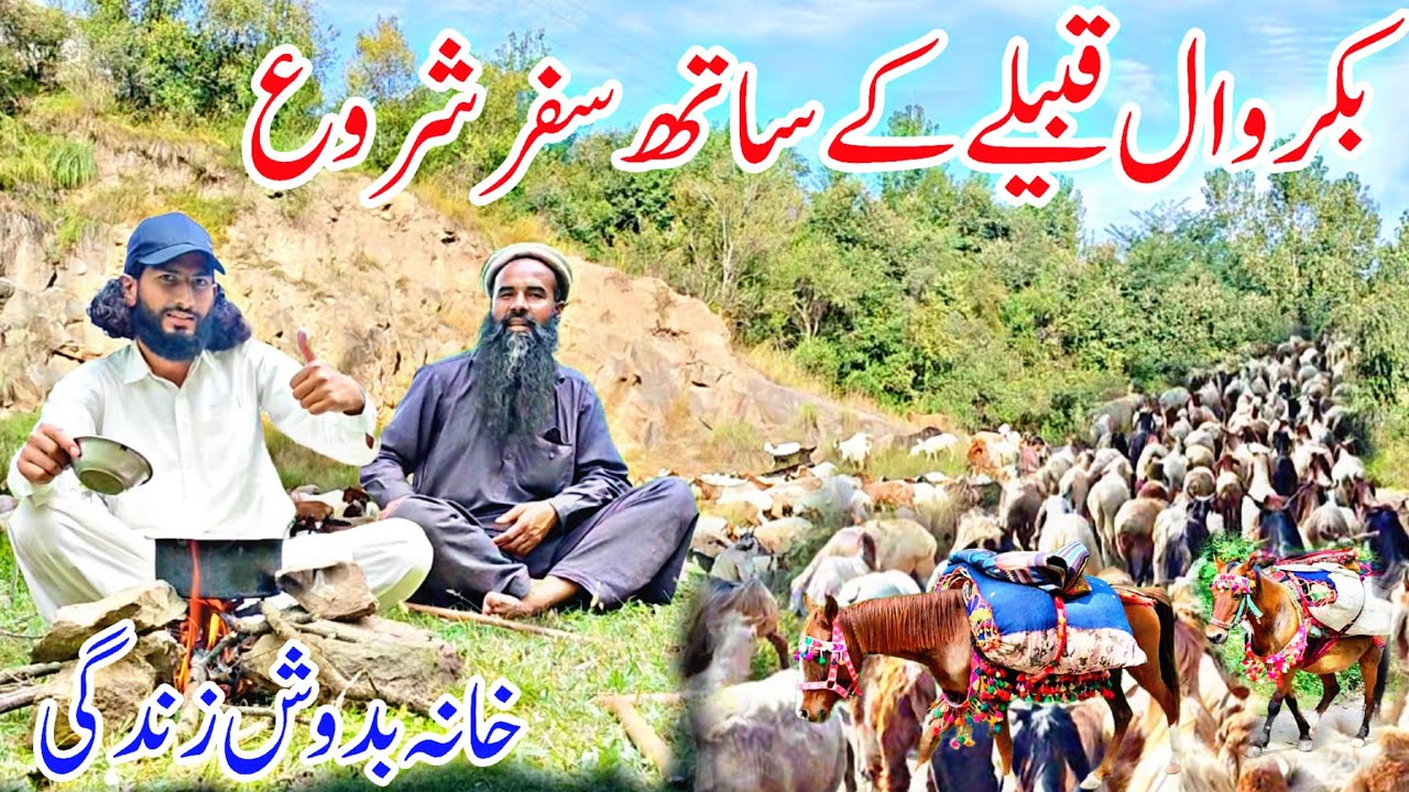 Bakarwal Nomadic Life In Kashmir | Traveling With Bakarwal Part1