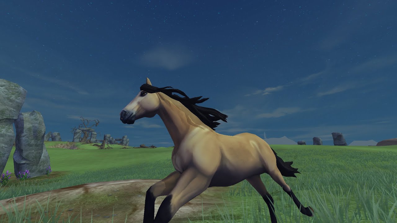 SSO II I will always return
